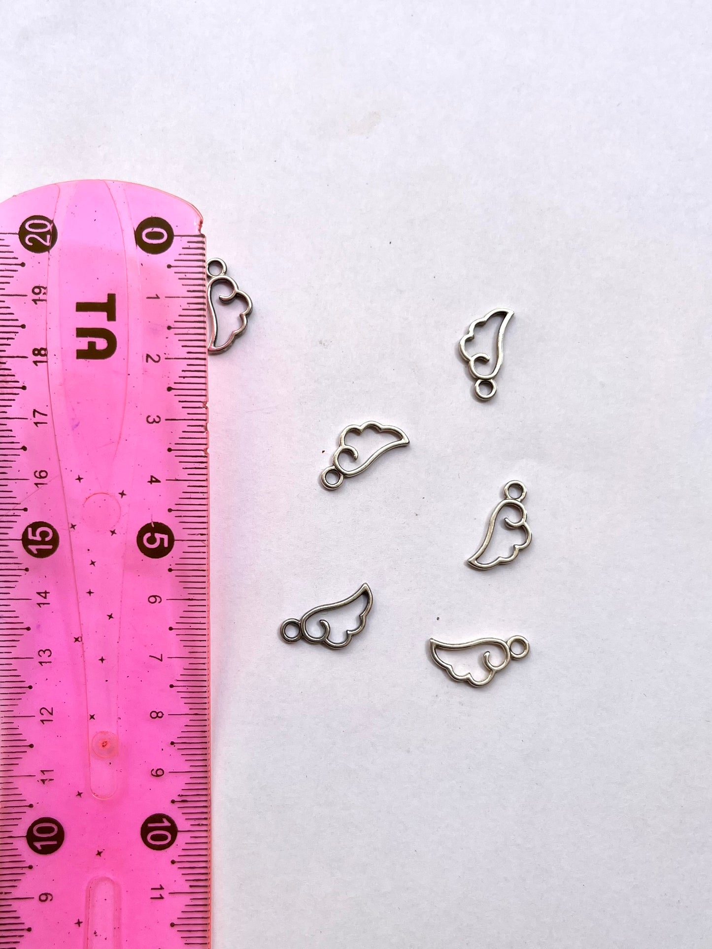 Wing charm