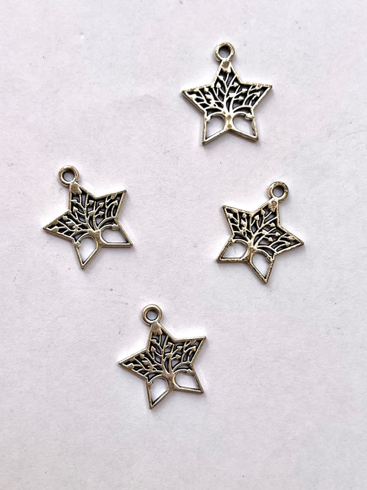 Star charm