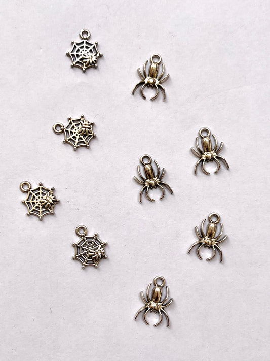 Web and spider charm